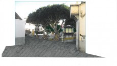 Infografía nueva Alameda