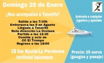 Cartel viaje a Tenerife para aficionados